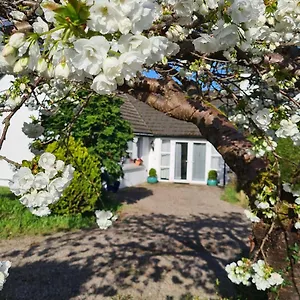 Nara Seaside Retreat Cultra